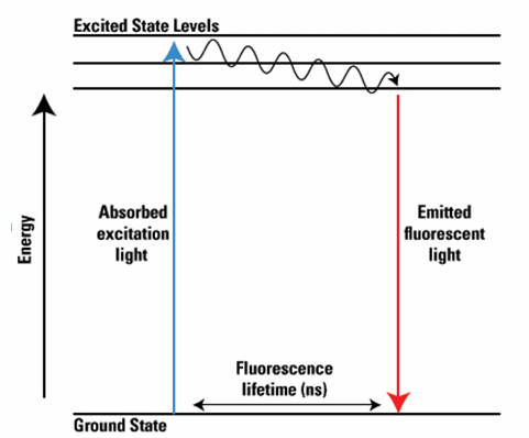 Fluorescence Generation